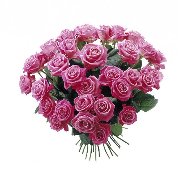 passion-egalement-plantes-bouquet-roses-img.jpg